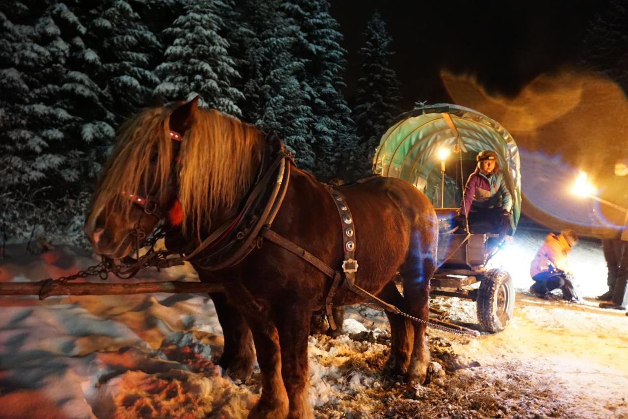 Chata Nad Roztokami Baligród Extérieur photo