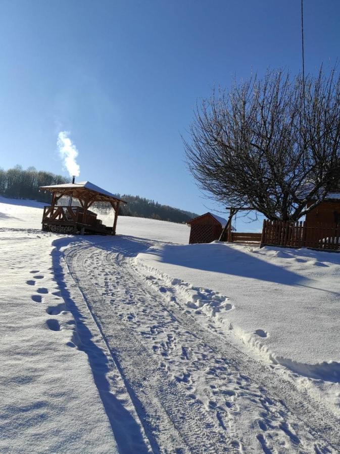 Chata Nad Roztokami Baligród Extérieur photo